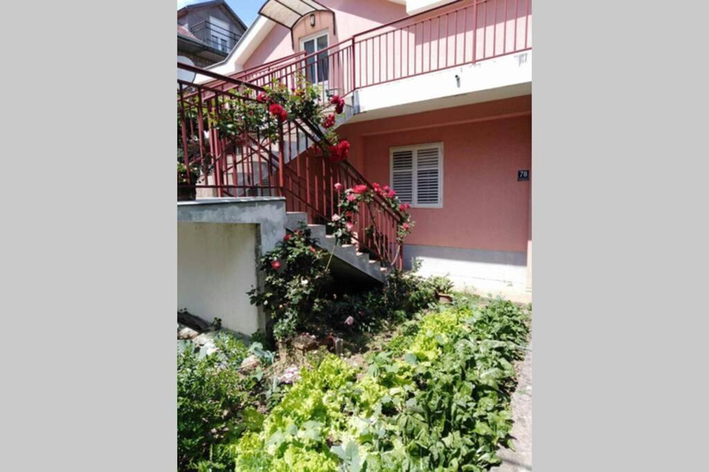 Apartman Danica Herceg Novi Exteriér fotografie